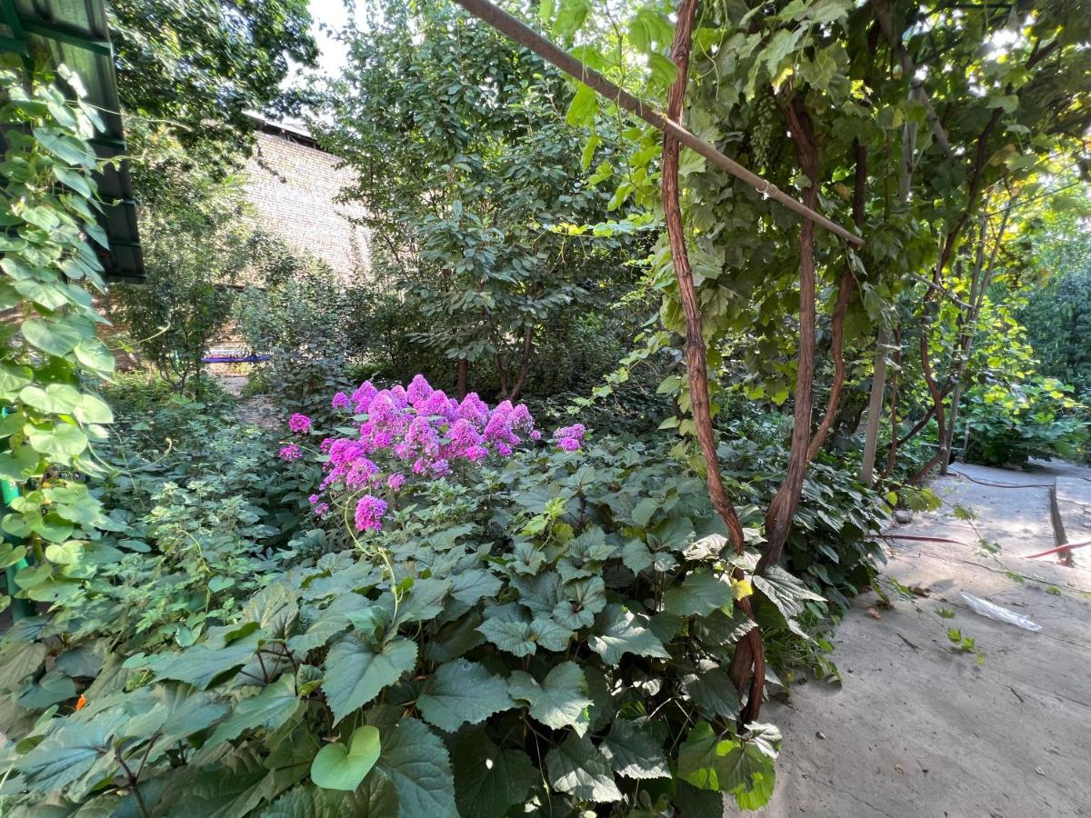 Lovely Home Osh Εξωτερικό φωτογραφία